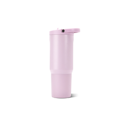 Sport 20oz | Insulated Water Bottle, Leakproof Flip Straw – Sweet Pea
